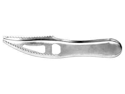 Eagle Claw Fish Scaler