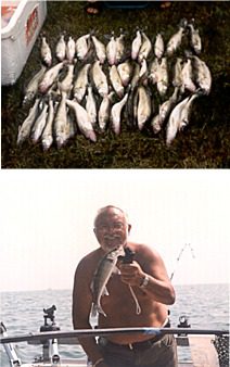 Captain-Dan-Walleye