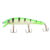 Green Zebra