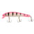 Pink Zebra