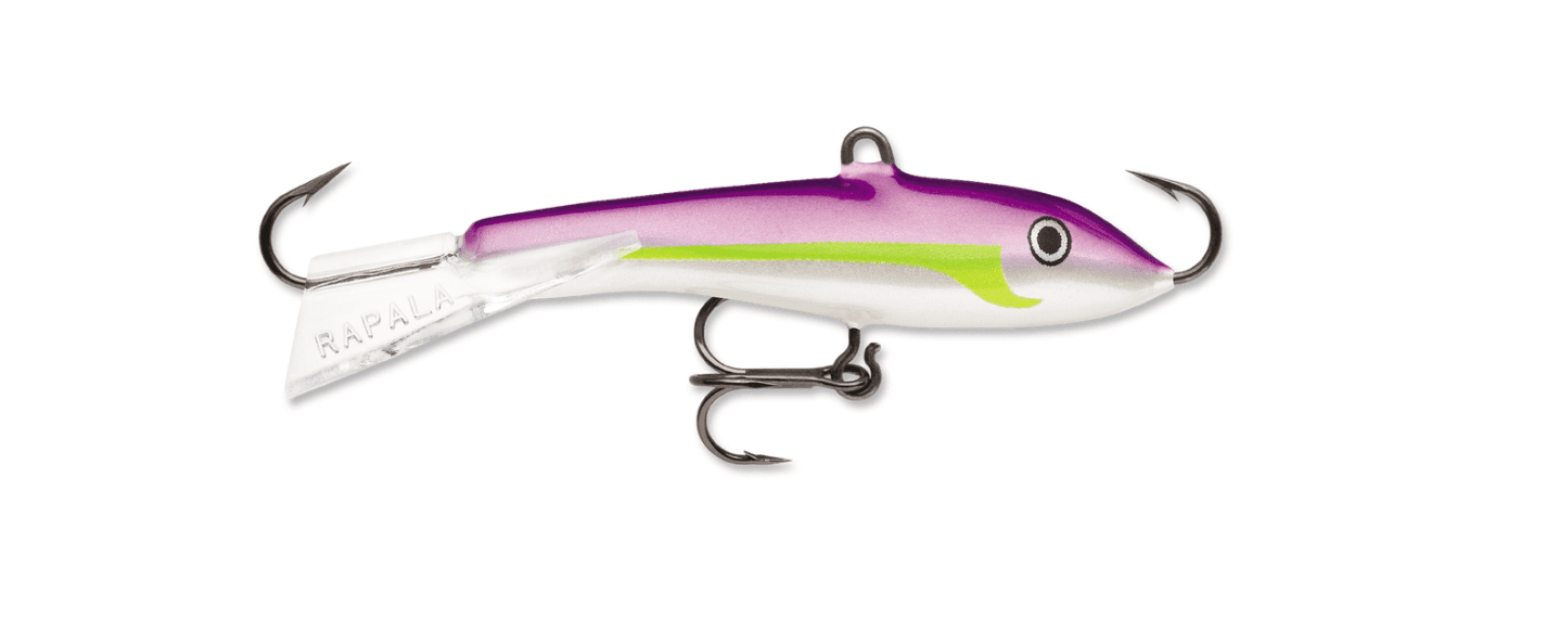 Regal Shad