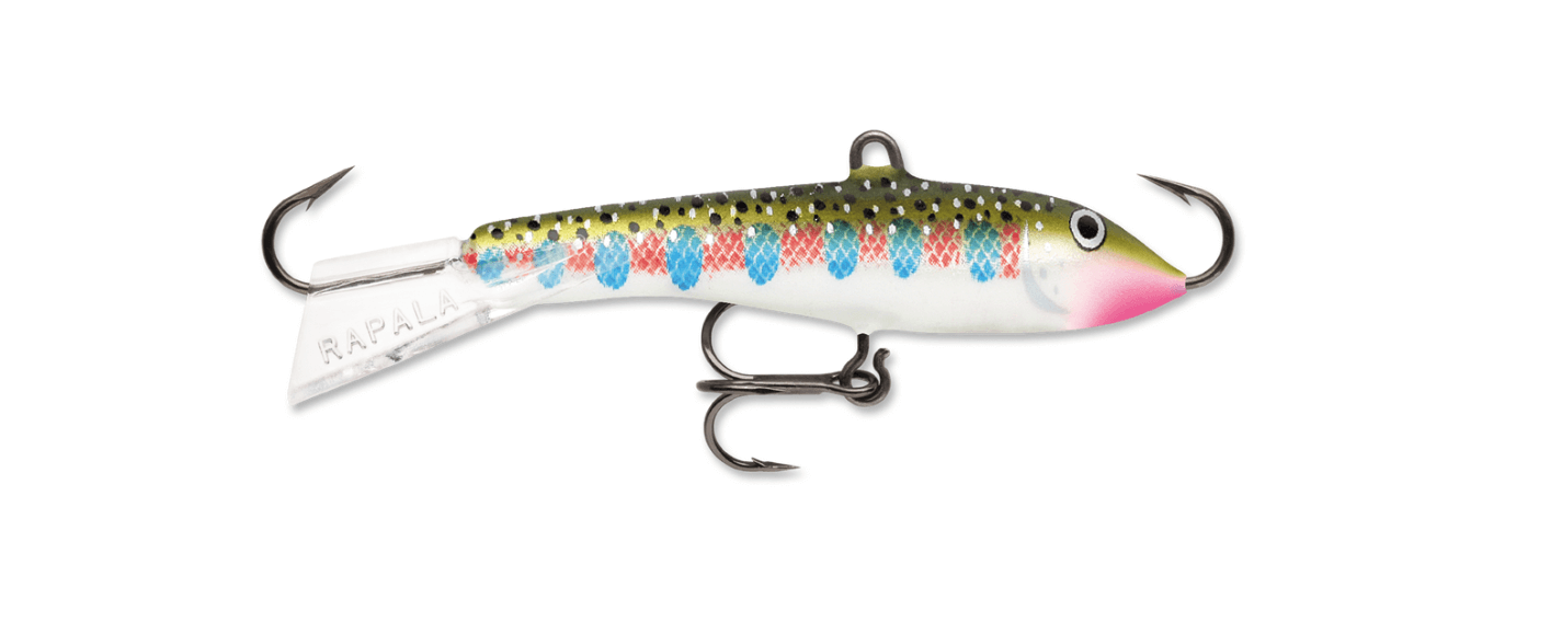 Rainbow Trout