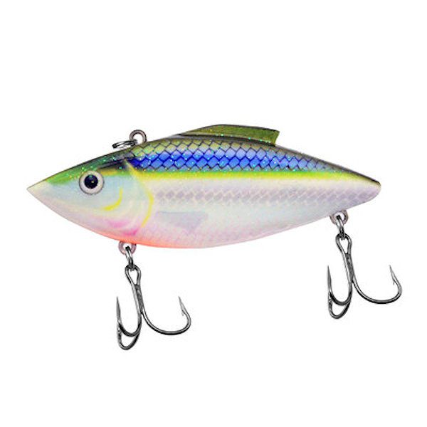 Blue Shiner