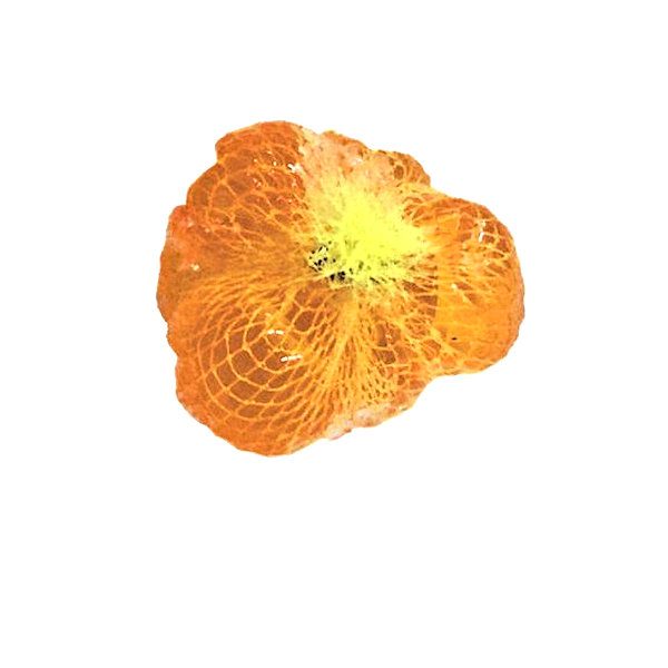 Chartruese