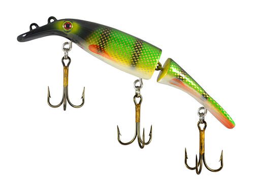Small Scale Perch (White Belly) (00868)