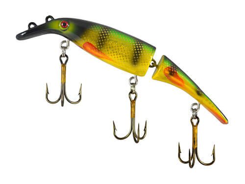 Yellow-Bellied Perch (00812)