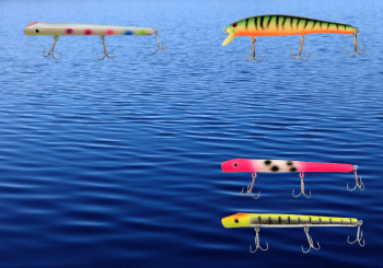 home-banner-nite-stalkers-fish-stalkers_800x560