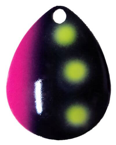 DRG-71 - Blueberry Muffin