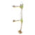 Hot Chartreuse