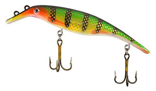 White-Bellied Perch (00711)