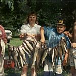 Bob Creger, Diane, Jon & Josh Grapentin Display their catch of Walleye caught drifing on the St. Clair River using Catchmore Drift Rigs.