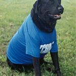 Winston Grapentin Head of Security with 2 years experience on the job.